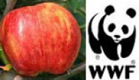 WWF - Nachhaltigkeit im Apfelanbau